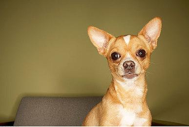 《幽灵线 东京》3月25日正式发售 官方公布玩法提示